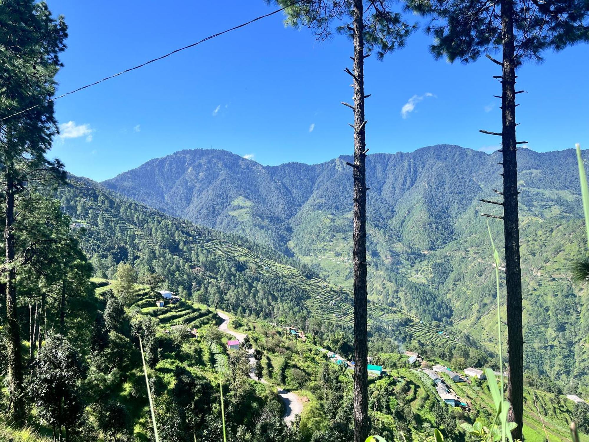 Himalayan Hill Top Resort Kanatal Bagian luar foto